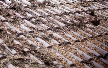 Betws Garmon roof cleaning companies